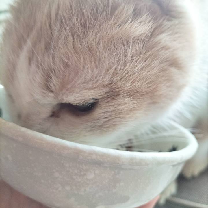 0fc1eab5 0bc0 4c58 b905 fa5c95b51d87 1698444957367