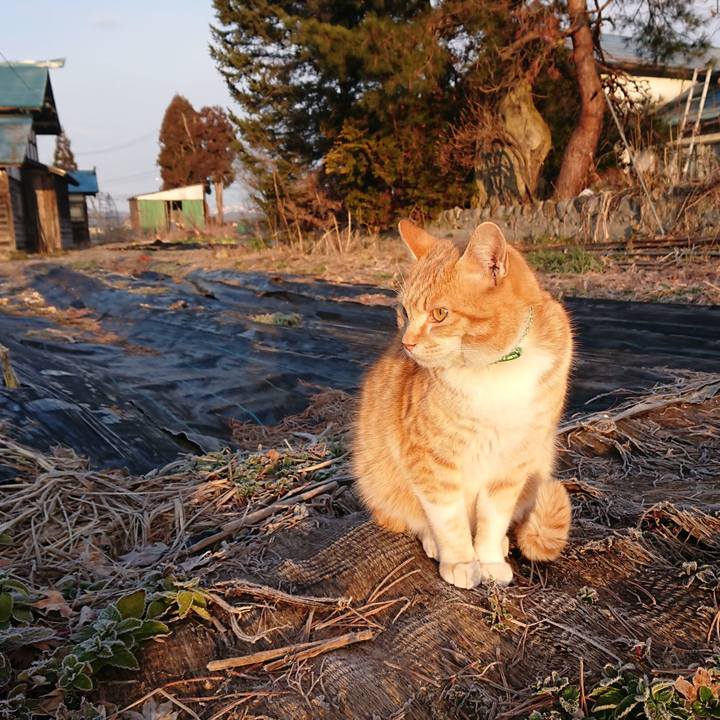 0fc1f799 7688 4e27 b76a 5facffed2e6e 1583272934616