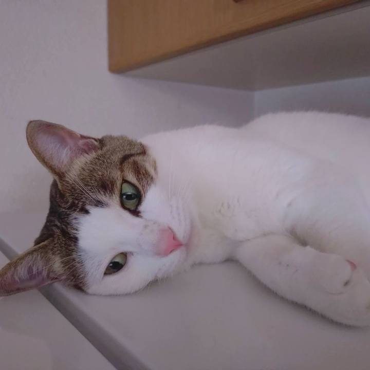 0fc28069 03ce 4873 ba11 7e147eb50c7c 1723606720718