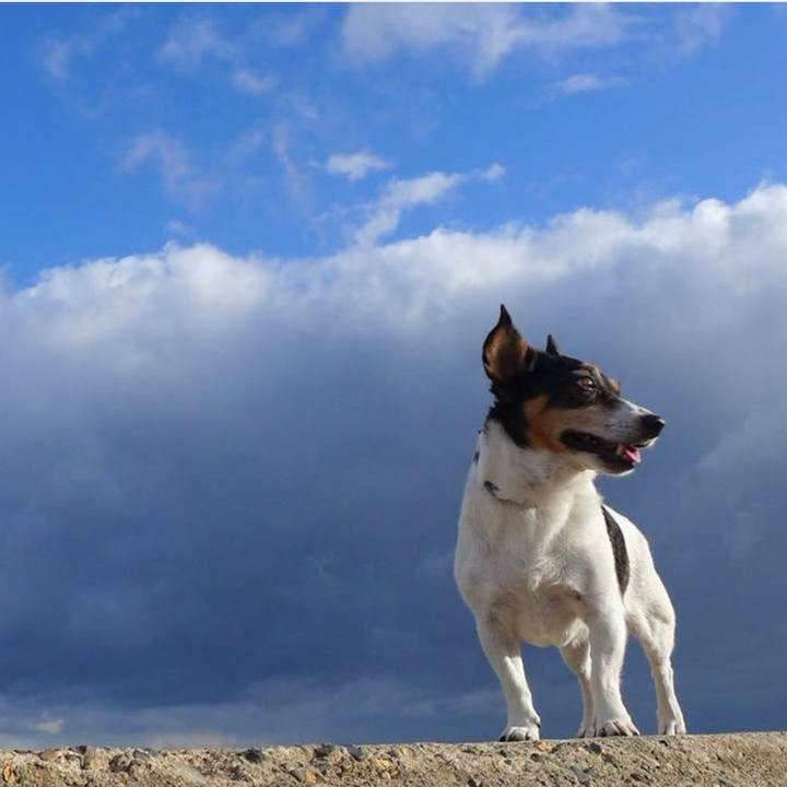 0fc2894e 4eb7 43d1 b2a0 f9db17a9066e 1694738682294