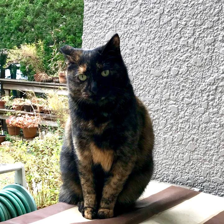 0fc2b532 b4fa 416c ac97 d637426c57a9 1512703591173