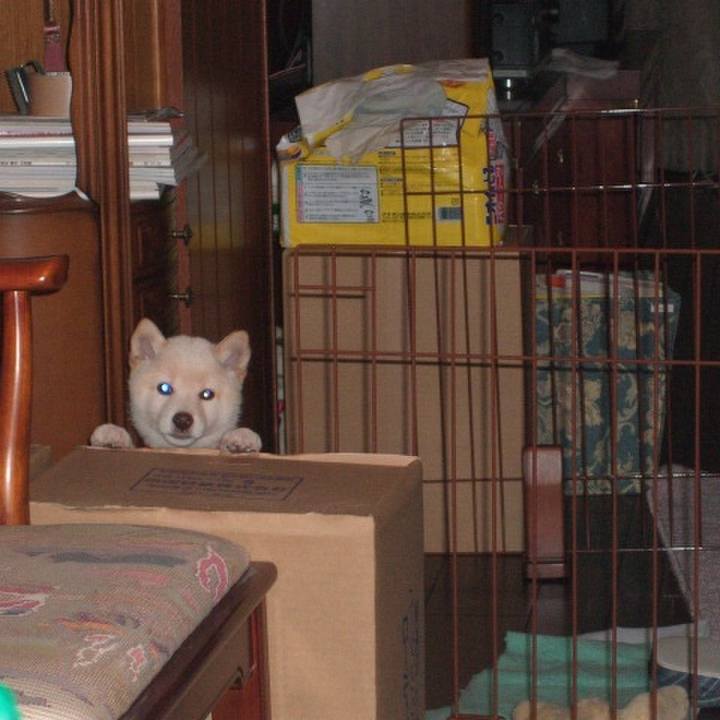 0fc2bb71 8ba9 4af7 91a4 50fba3f8cce9 1638429447906