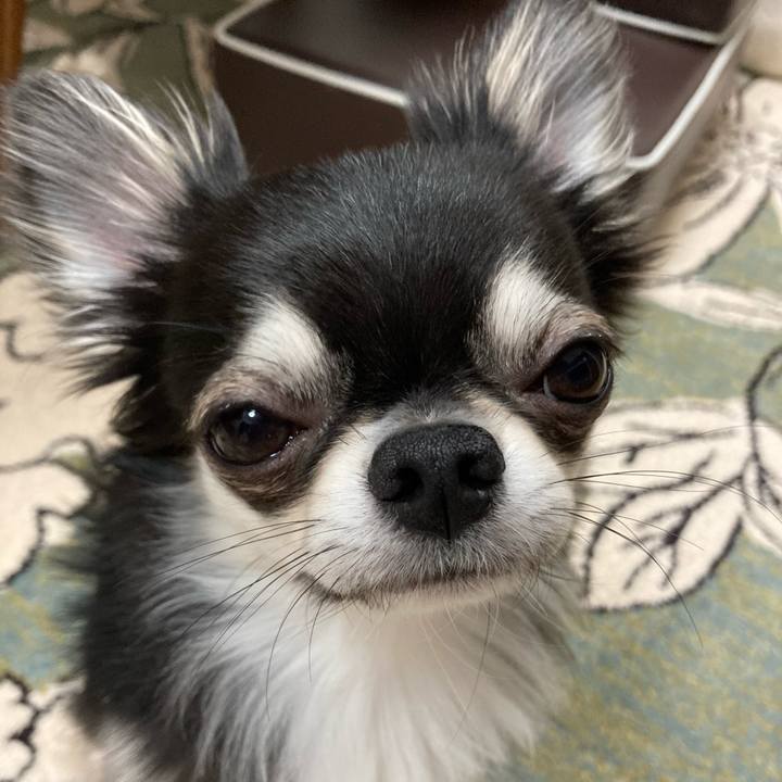 0fc32cfe b34f 4bc2 bbaf 607a1f8a270f 1621691577372