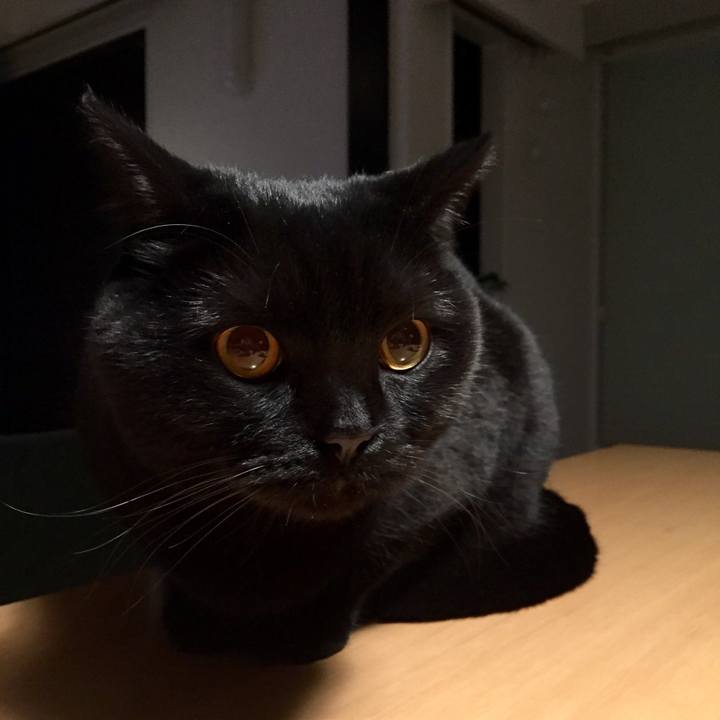 0fc3709e c620 40f0 97d7 1108f31ae32a 1550925817785