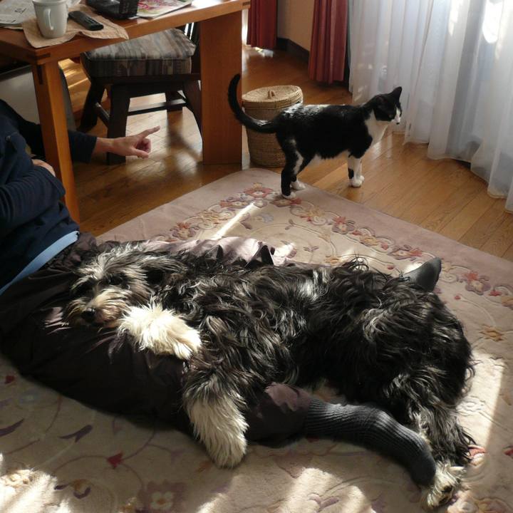 0fc38be2 b072 4696 8d98 31f1d119c173 1546938756103