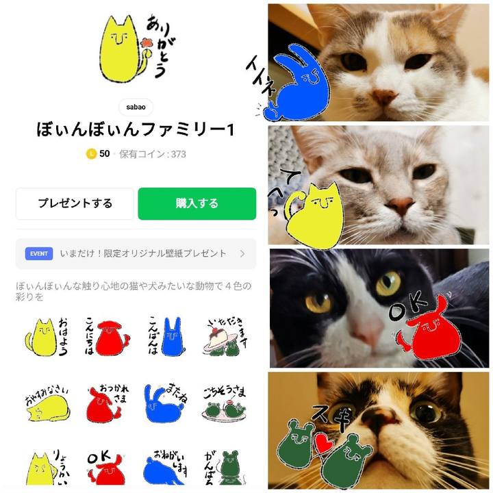 0fc3a641 a765 46d8 bcb8 fa5d78894916 1645710797390