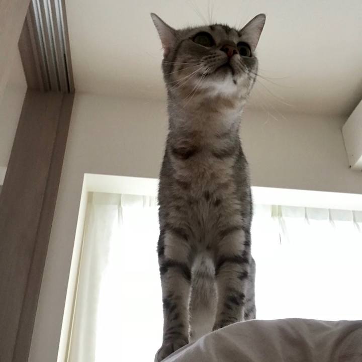 0fc3a7f9 8583 48c3 851e 5a5b8863eb1a 1527981672286