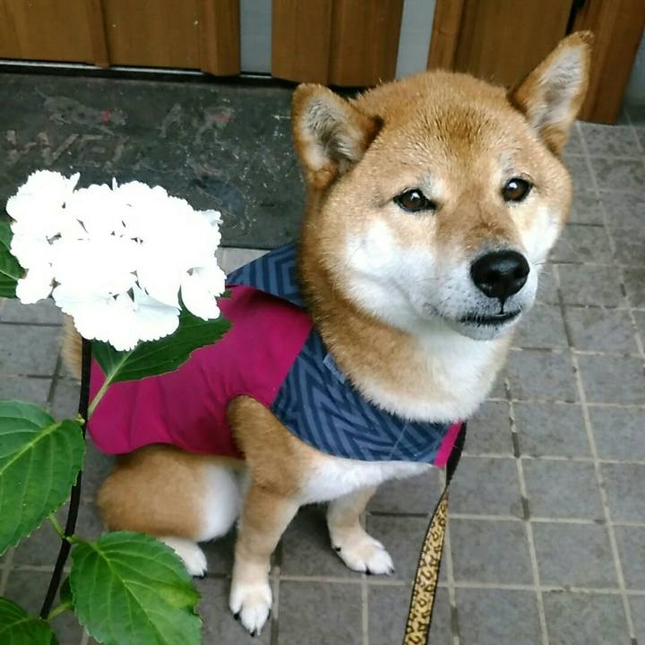 0fc3b10a be57 4cfa b901 0b7ed63d354f 1560553225380