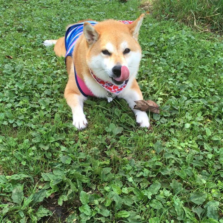 0fc3b241 eb35 4c8e b155 80c42d04c79d 1535250865188