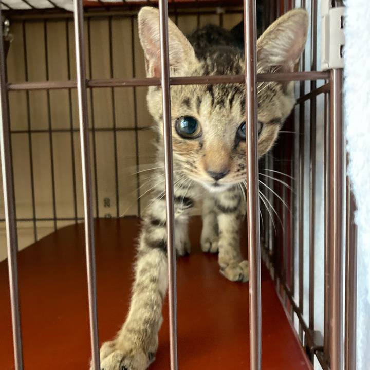 0fc3c0c3 ef12 4e84 8d3c 5b535f0eead5 1660000826709