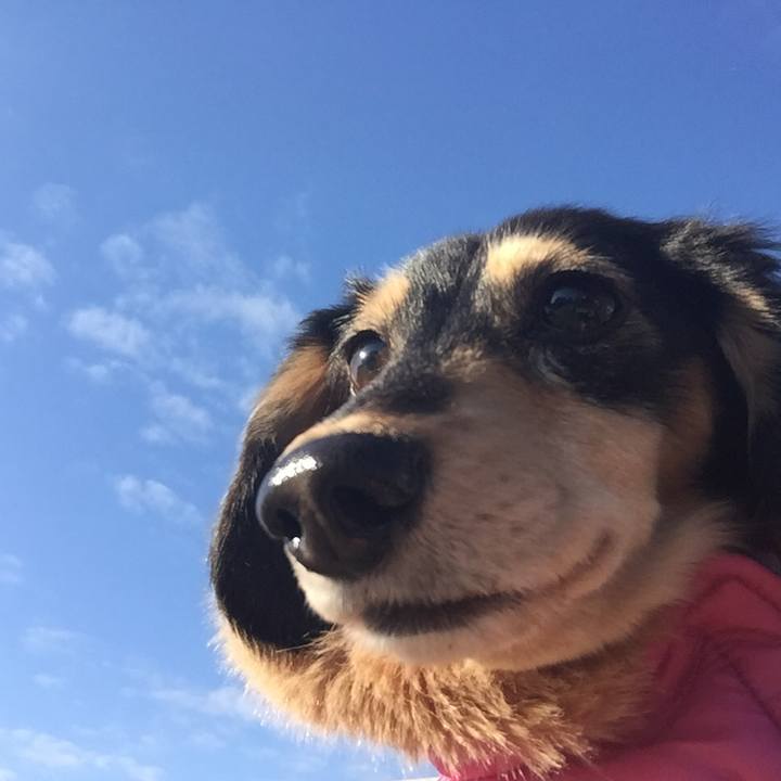 0fc42cf5 e309 4aed ab63 0c575c43206a 1513729454410