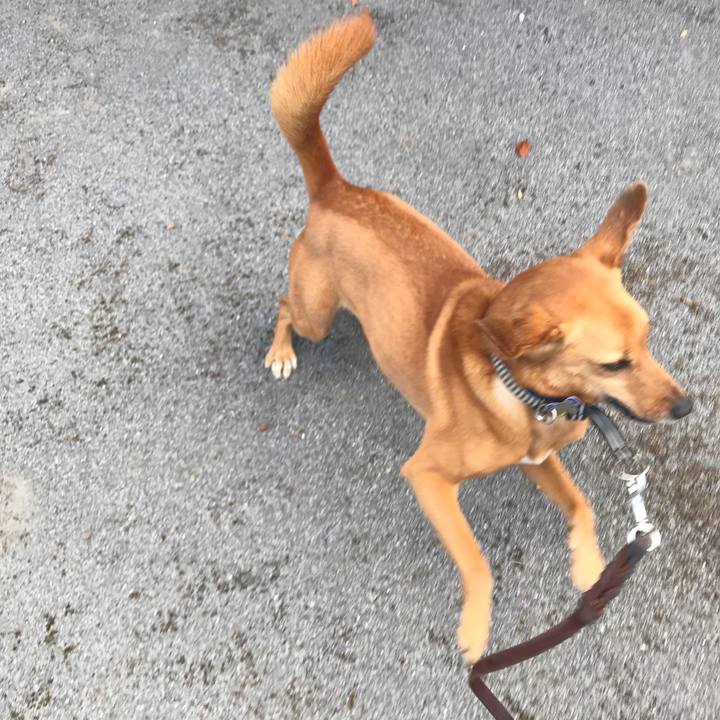 0fc43a23 7073 41e9 9e98 ae54a929b012 1532662853721