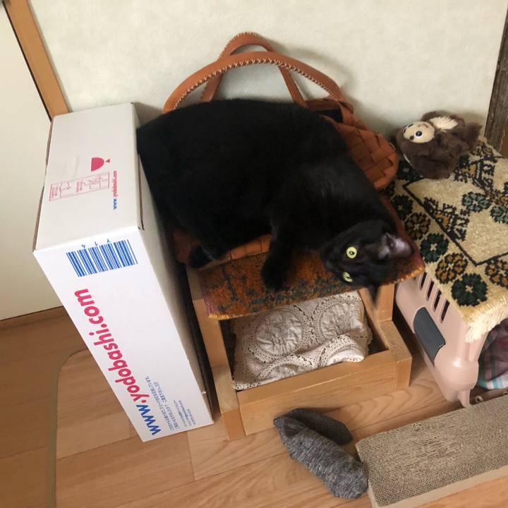 0fc47f03 4108 4134 b586 c79783aafd48 1597620424217