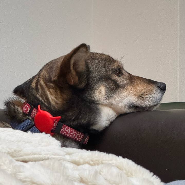 0fc4892f f652 46fe a9d2 f3c3ebcba854 1766711008107