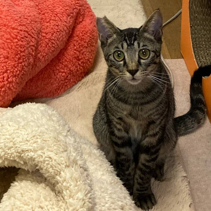 0fc4d2be 0717 4b8b 8ff5 80a7aa2cb641 1605000686119