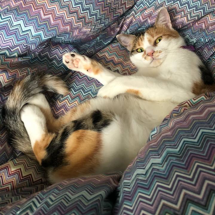 0fc4ed2b f04d 4eb2 8a1c d70bf77d32d5 1601186228951