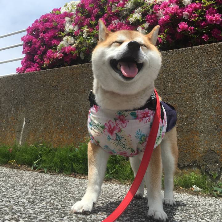 0fc51670 f6a5 4528 b19c f84ba40bc8c7 1588474287778