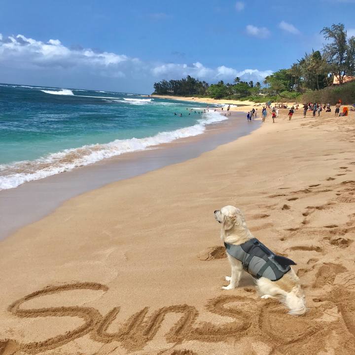 0fc51c70 bfee 4a62 be11 e2001797a3c5 1555519349160