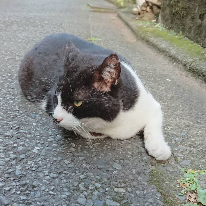 0fc5afe2 8557 4aae 84cf b0adafd8ffd9 1626860225471