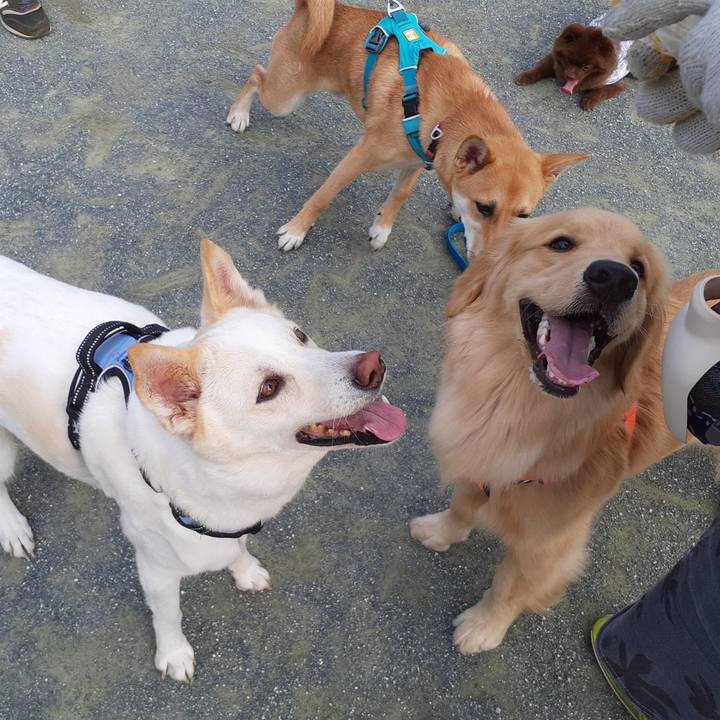 0fc5fe36 b749 4b06 a2b0 d6053aa9b8ca 1654211259548