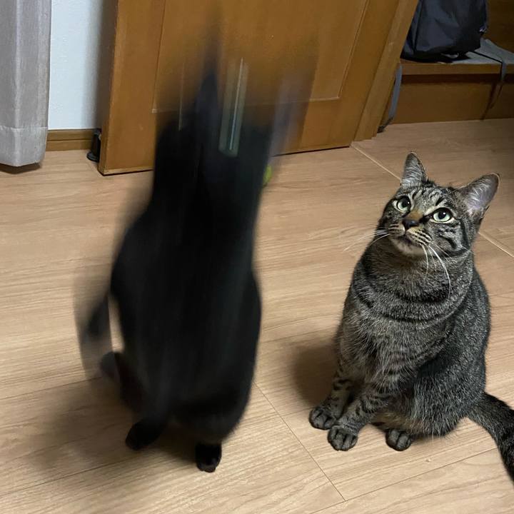 0fc5ff4c 368f 4e8c 9b2e e47df138e4cc 1653138855038