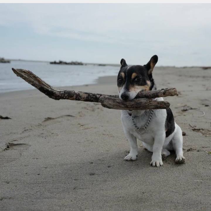 0fc66ed6 9fec 48f2 a0df f03b33d91a2b 1751587874773