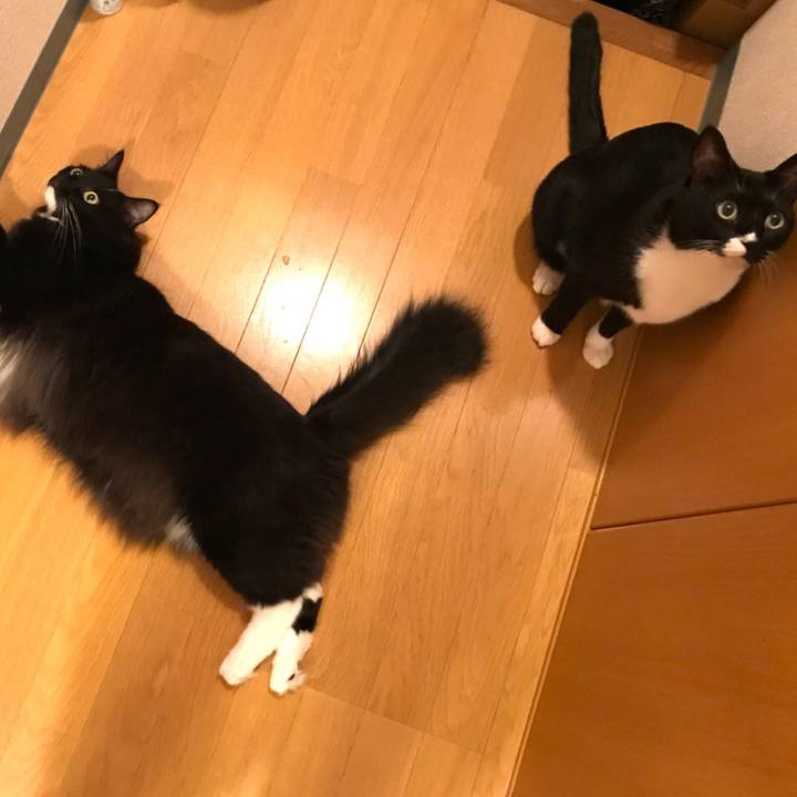 0fc68973 581d 411b afdb 993fa90048a8 1535326208532