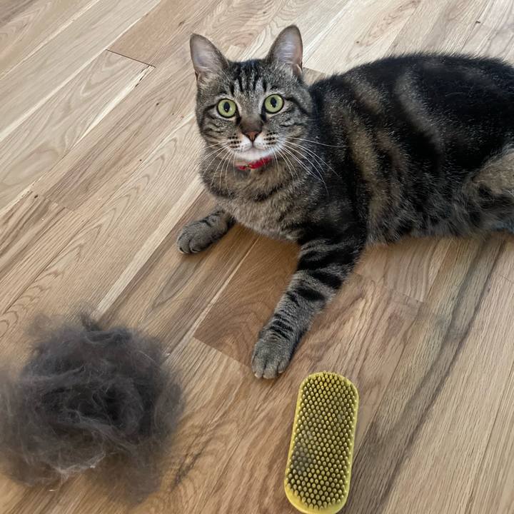 0fc704ee fc2a 4d11 8e5e d7d84b1510cc 1592780958959