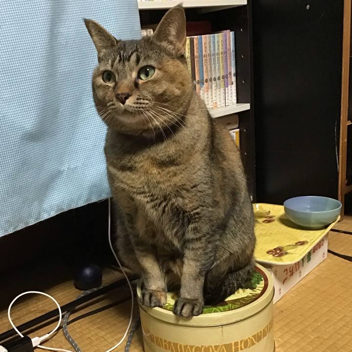 0fc726e1 2e9e 4c24 8e12 3f984f1b805b 1704707931759