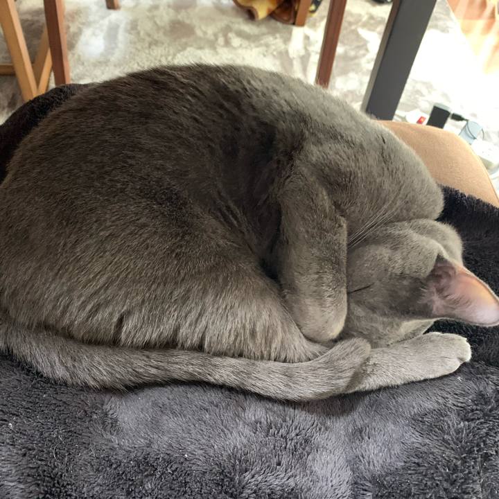 0fc739df f8f9 4d11 8523 a8b44276f64a 1611901267221