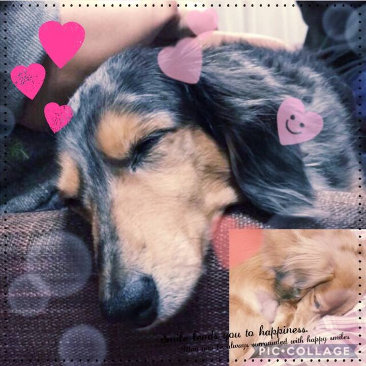 0fc740bb 624f 40a1 929f 5b0b4ab5eb95 1516022578528