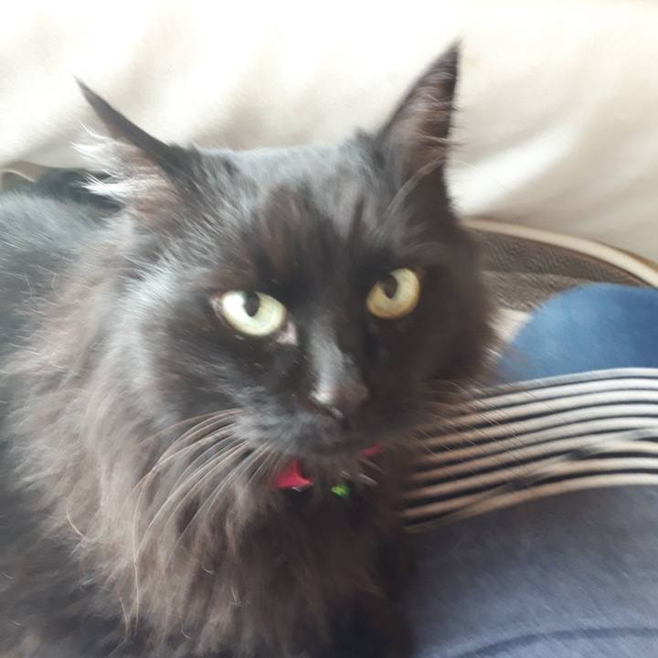 0fc75e92 efe8 4c78 a6e6 324ecfb6ea4f 1523240228126