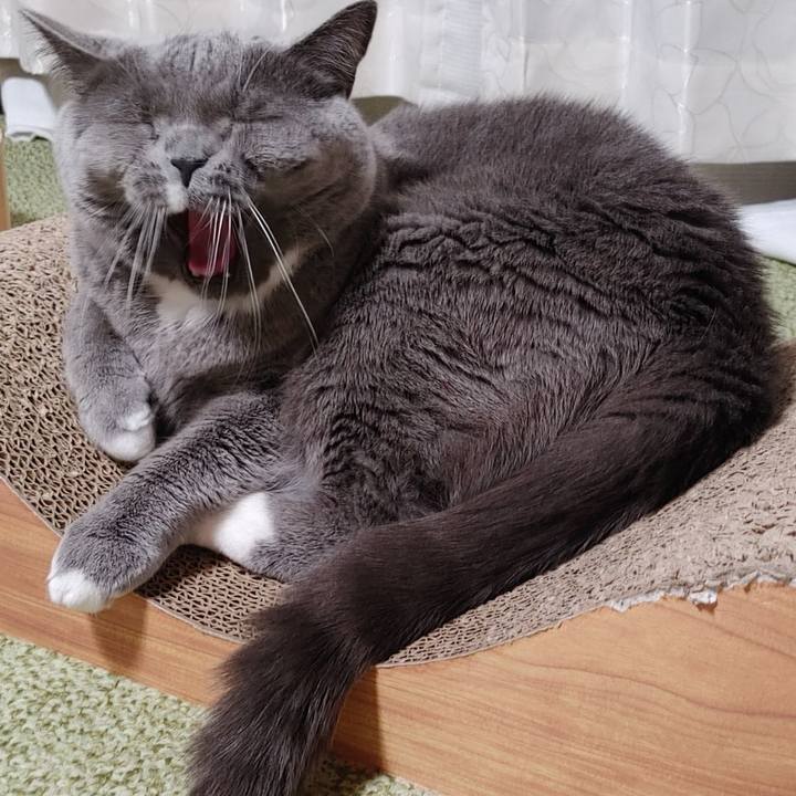 0fc79a8f 55a1 4aa9 b1bb ac203cc86d6e 1673169693837