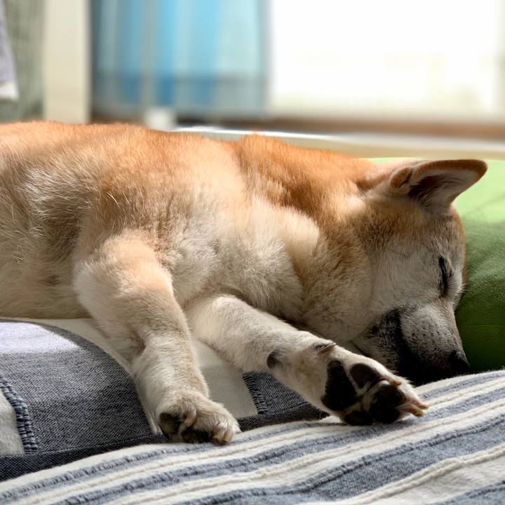 0fc7b183 accc 452a b795 fd4a2aa7ba84 1571374621392