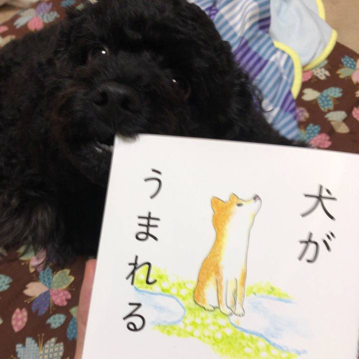 0fc7ca2b a2c1 474a 96fb d057b0710c73 1537191153256