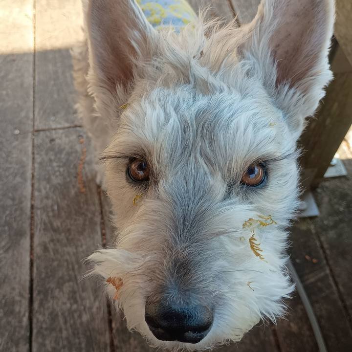 0fc7e402 494c 4b02 a7ed ab45817c6b14 1773740446582