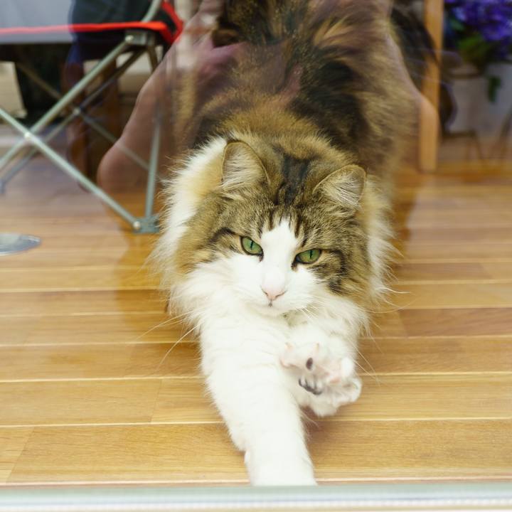 0fc7f7ca 9b6c 4395 8435 981792c2e755 1648723105589