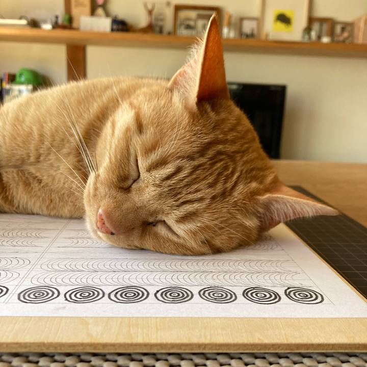 0fc833b2 5e8e 4676 ac6e b95834f3ea45 1711848209505