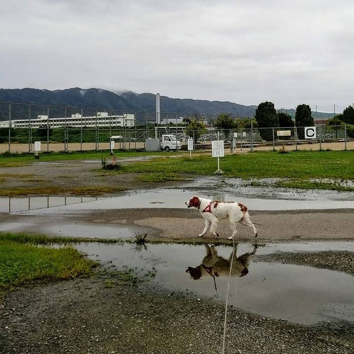 0fc851ae 82d8 4100 9fb9 0aea07b453b1 1625125349274