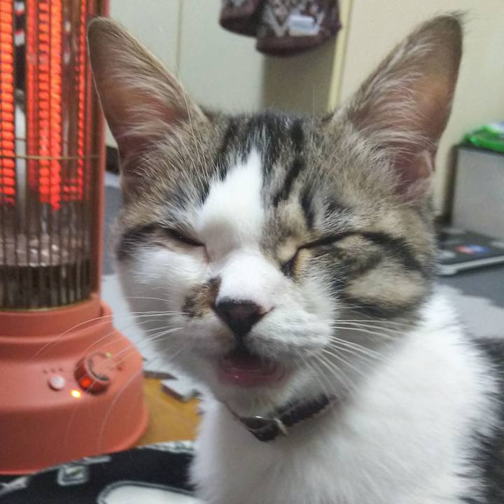 0fc859d3 4a20 48a0 a671 1780b95719b8 1612354829246