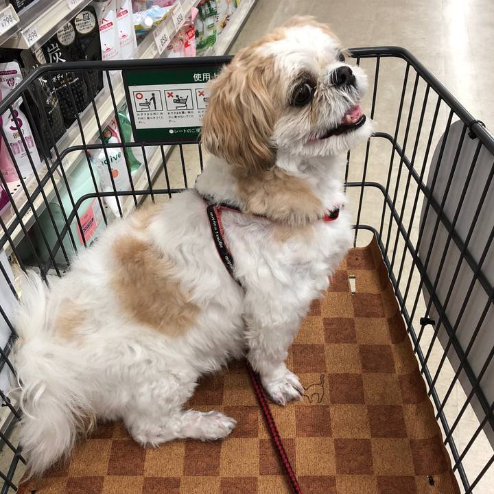 0fc8a671 79d2 4217 ab58 16e1272fecb9 1601772595115