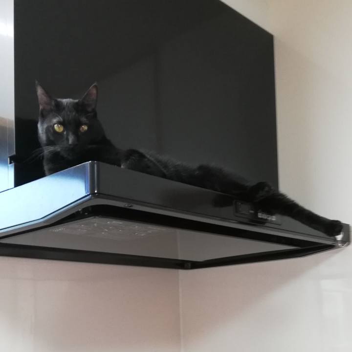 0fc8c2a3 0eaf 4b17 b0bf 6069a185860b 1622359917826