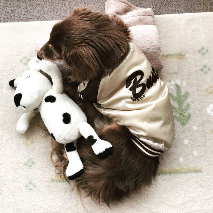 0fc9046a 9d4b 4d0d bda0 ec0e73dc70b8 1584349016602