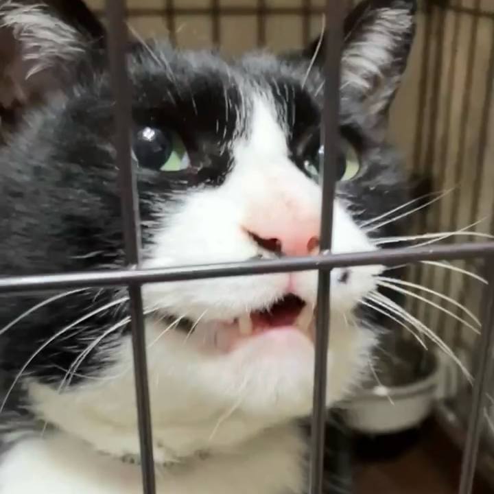 0fc9341e e76d 4d12 917a 0f676fa0d88b 1743129417261