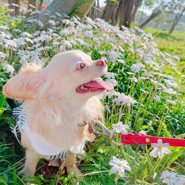 0fc9b4ba 0cfc 4930 8a2b 3026b635b619 1649491551367