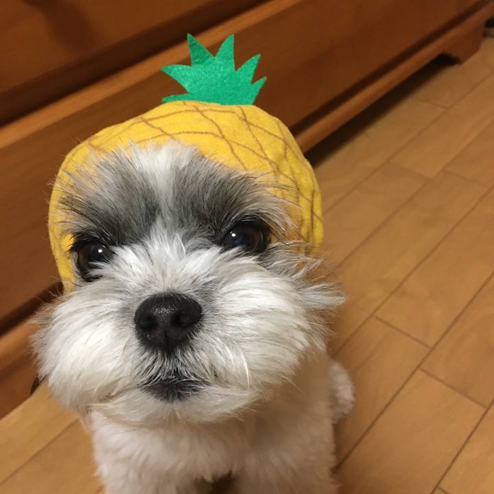 0fc9f3fb 2dd0 406f af7a 5de6c2eae732 1531890740571