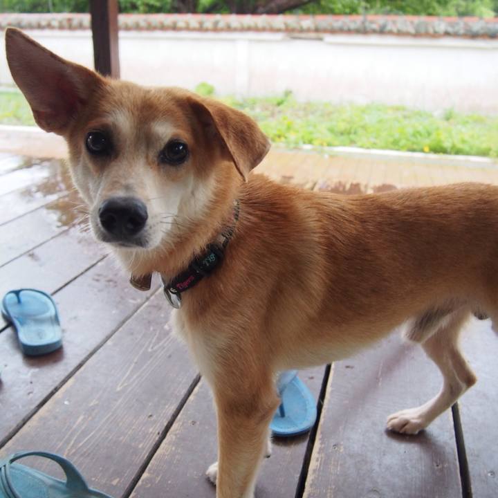 0fca0344 4188 443f a35c 5107ece4976c 1532924035959