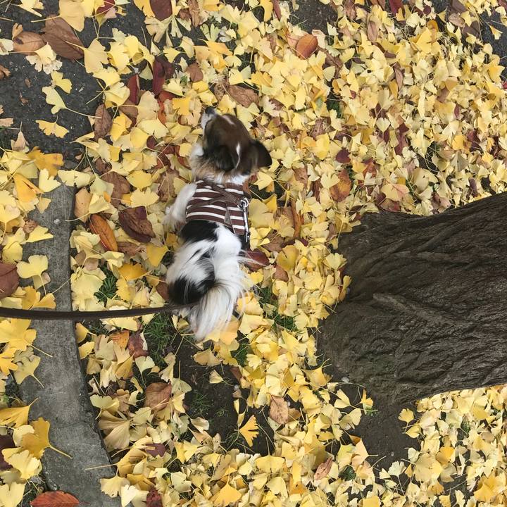 0fca6649 1156 45d7 a6d8 a3bf99a68a1a 1512136896069