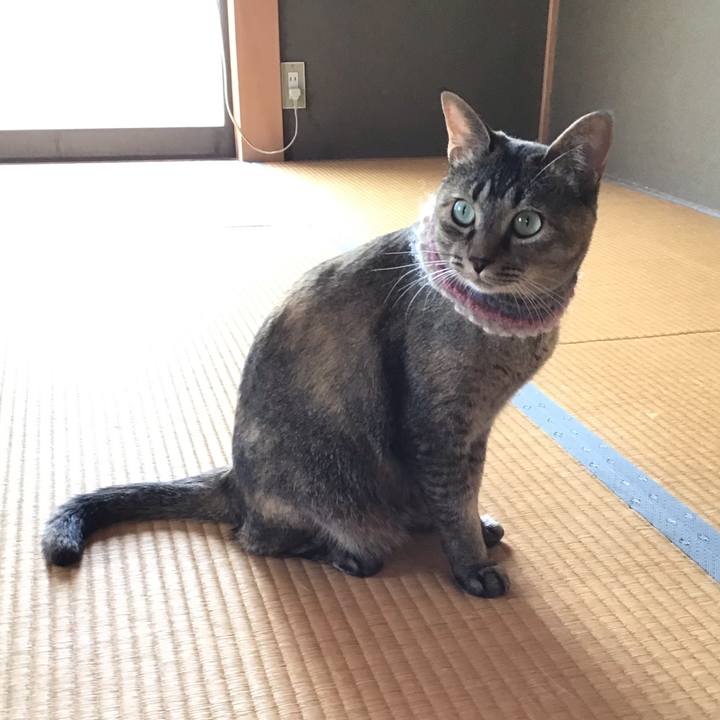 0fca9f94 3239 4f25 89f0 3b86cc4e8f13 1627364086262