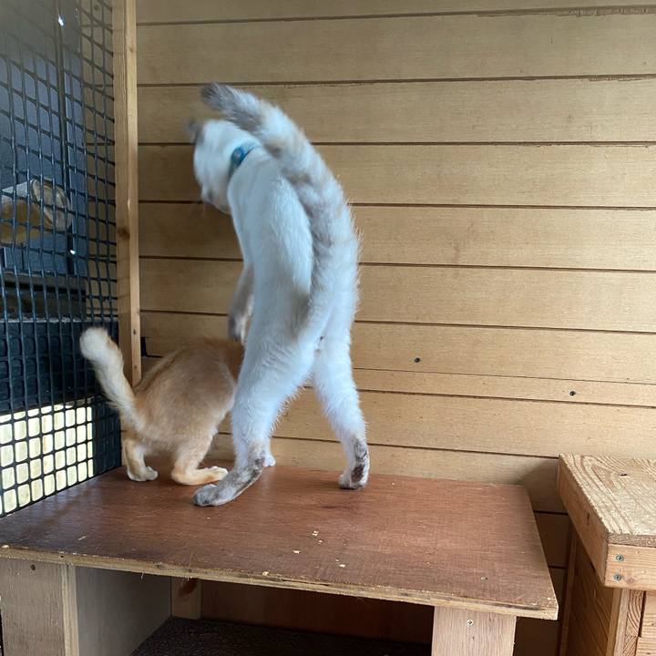 0fcaa41f f629 4cc7 99ab b94c103e98a3 1631666079458